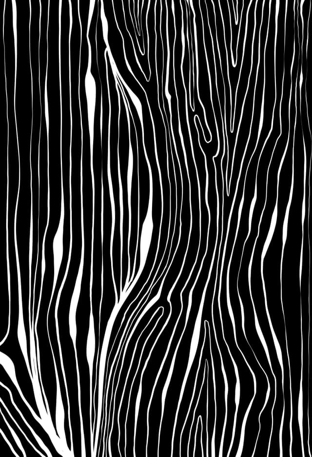 Wisdom 2026 Sabet 20" x 30" Gallery Canvas