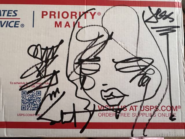 dreamlet 2026 Sabet Ink on USPS Box