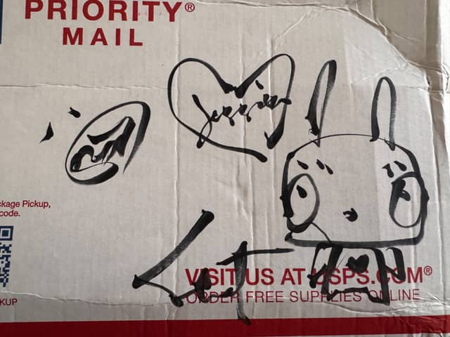 Stitch Bunny Love 2026 Sabet Ink on USPS Box