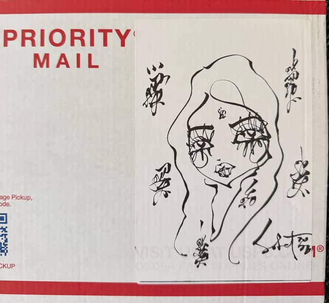 Untitled 2026 Sabet Sticker on USPS Box